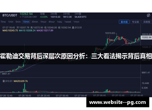 霍勒迪交易背后深层次原因分析：三大看法揭示背后真相