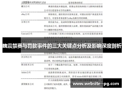 魏震禁赛与罚款事件的三大关键点分析及影响深度剖析